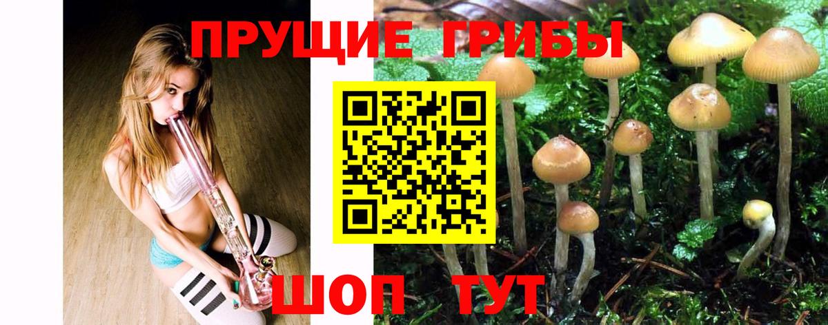 Псилоцибиновые грибы прущие грибы Карталы