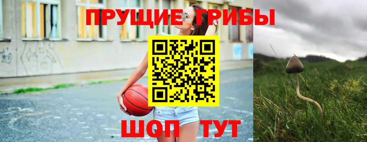 Карталы  Псилоцибиновые грибы прущие грибы  Вход с VPN  закладки  Псилоцибиновые грибы Magic Shrooms 